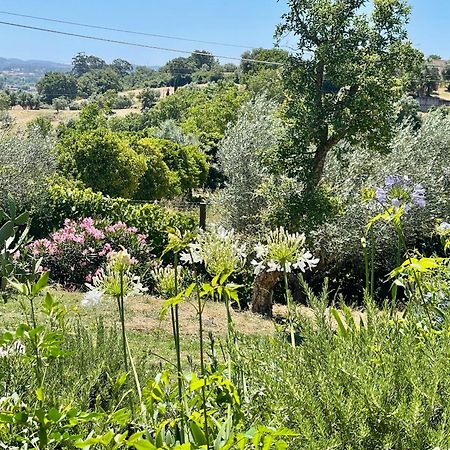 Best Luxury Boutique B&B Vista Do Vale Tomar Buitenkant foto