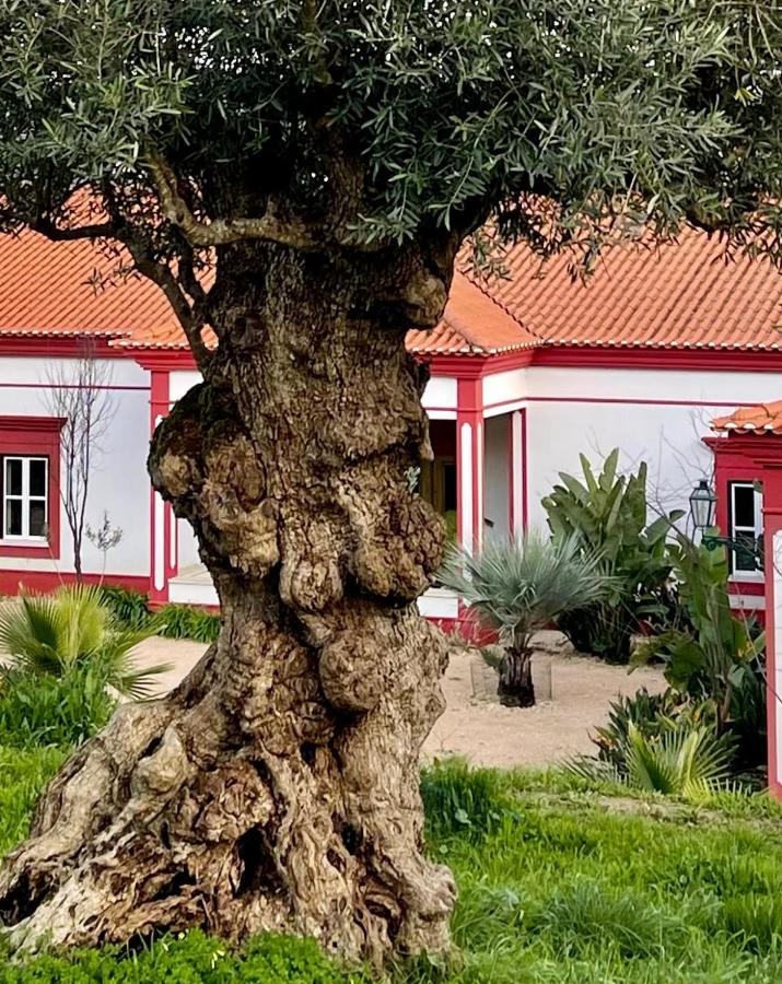 Best Luxury Boutique B&B Vista Do Vale Tomar Buitenkant foto