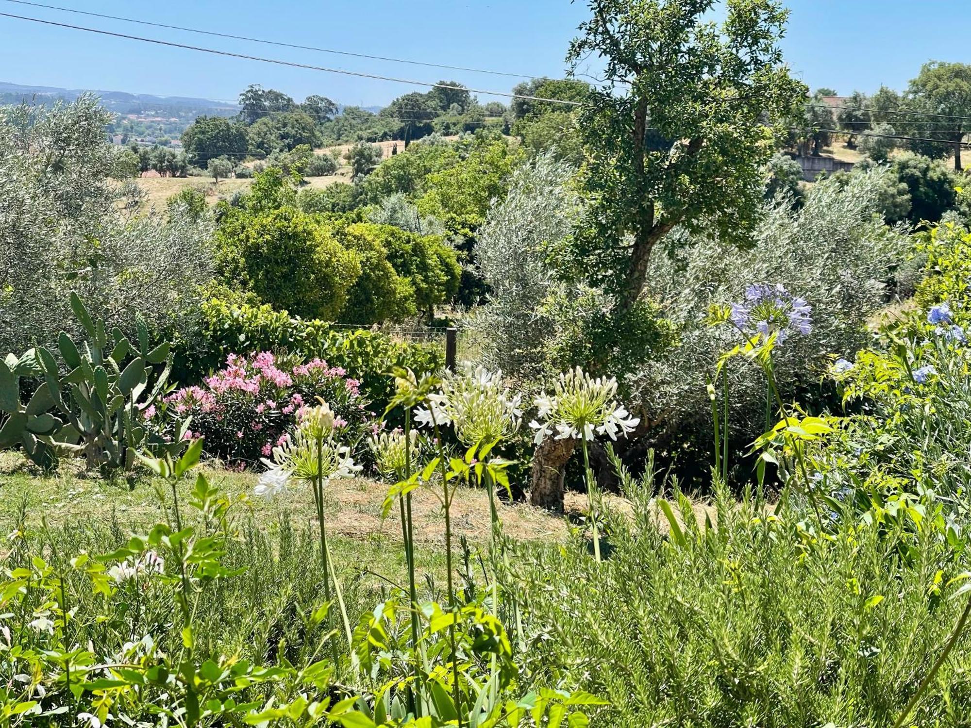 Best Luxury Boutique B&B Vista Do Vale Tomar Buitenkant foto